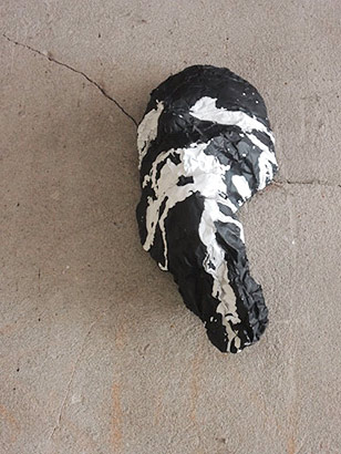 Kangaroo, 2013